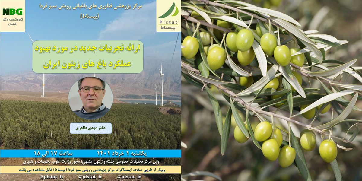 دهمین وبینار آموزشی پیستاط درباره بهبود عملکرد باغ های زیتون در ایران